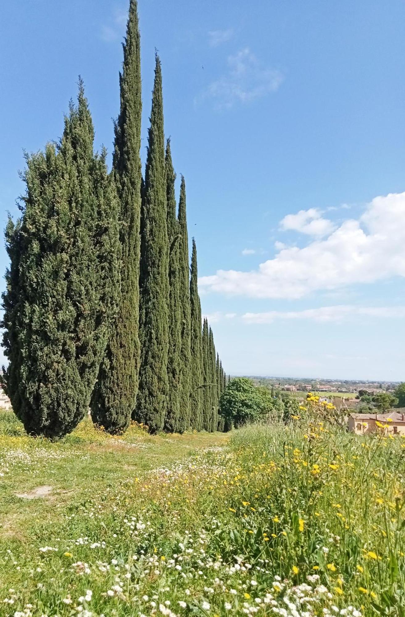 Apartamento Casalice SantʼArcangelo di Romagna Exterior foto